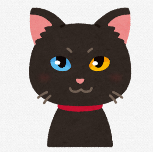 黒猫